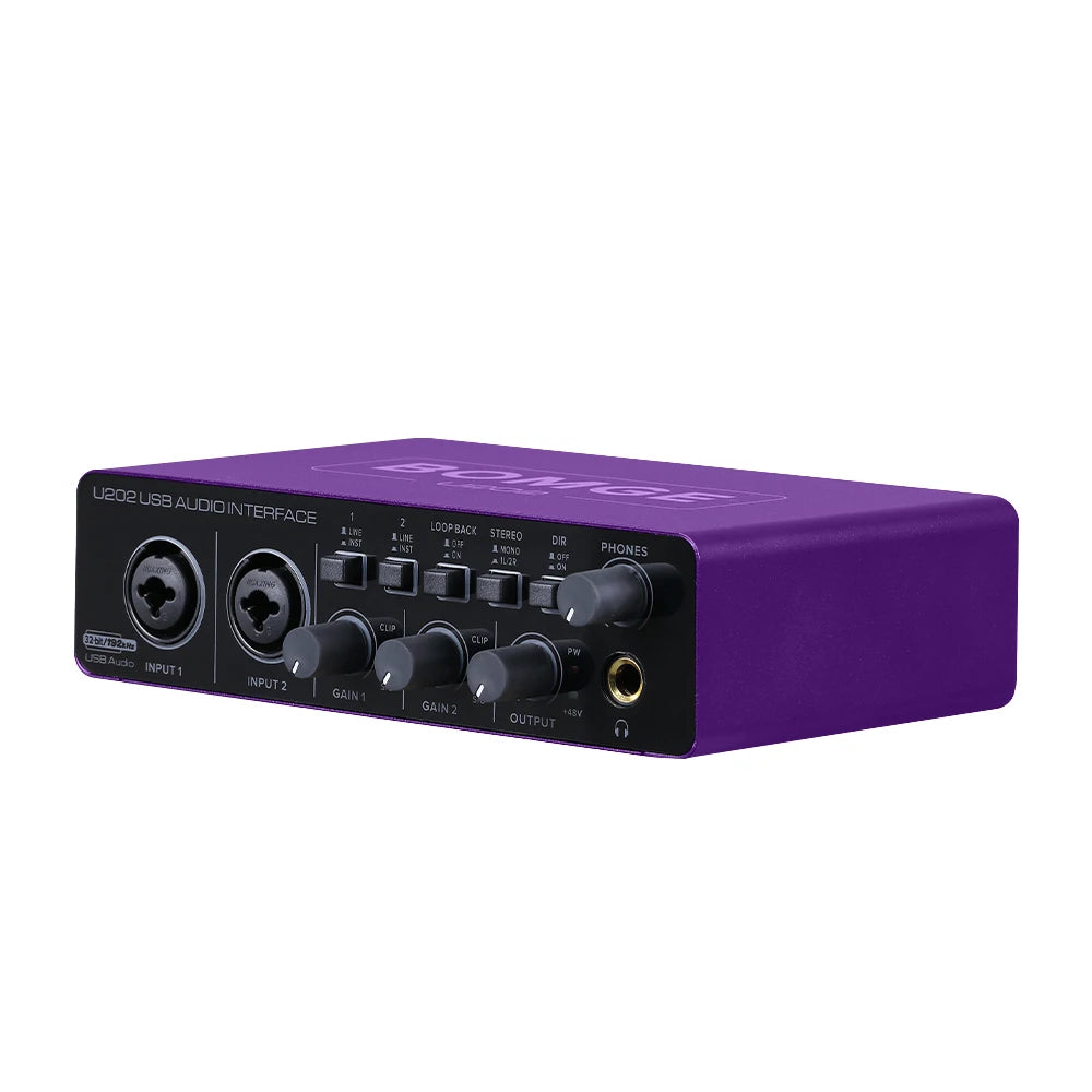 U202P USB Audio Interface with 32 Bit 192kHz Recording and 48V Phantom Power