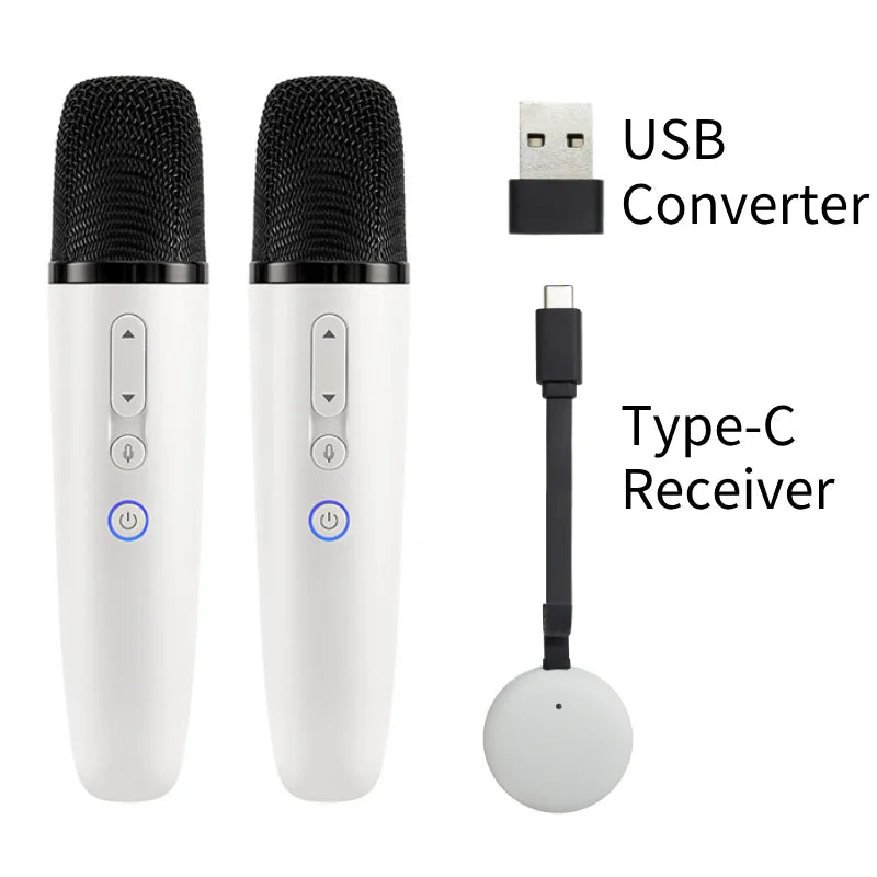 Q1 Tesla Car Karaoke Microphone for Model Y/3/X/Cybertruck, Wireless Rechargeable Handheld Mic with USB-A & USB-C Receiver