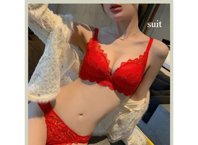 Womens Lace Minimizer Underwire Bra and Brief Set