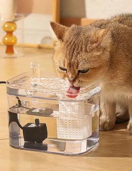 Automatic Pet Water Fountain Transparent USB Power Cat Water Dispenser 1500ml for Indoor Dog and Cat Water Feeding Supplies