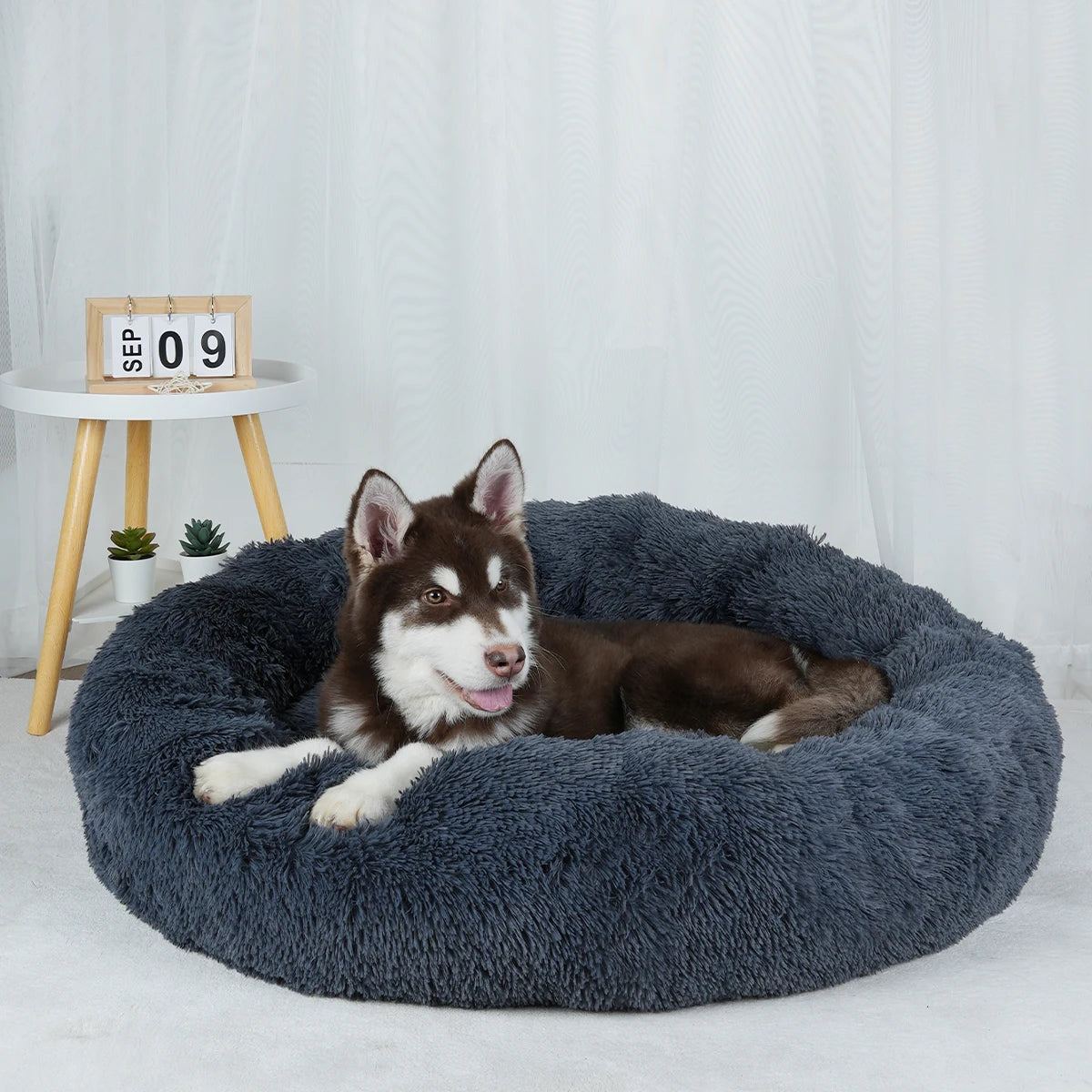 Washable Plush Dog Bed Fluffy Pet Sofa Cushion