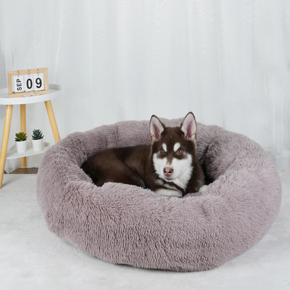 Washable Plush Dog Bed Fluffy Pet Sofa Cushion
