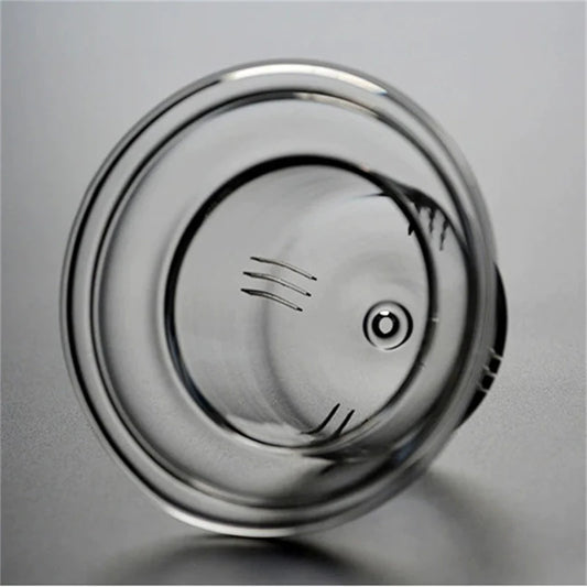 Japanese Style Transparent Glass Teapot with Infuser