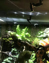 1/4'' Tub 360 Adjustable Reptiles Fogger Mist Sprinkler Rainforest Tank Aquarium System Connect Fine spray effect
