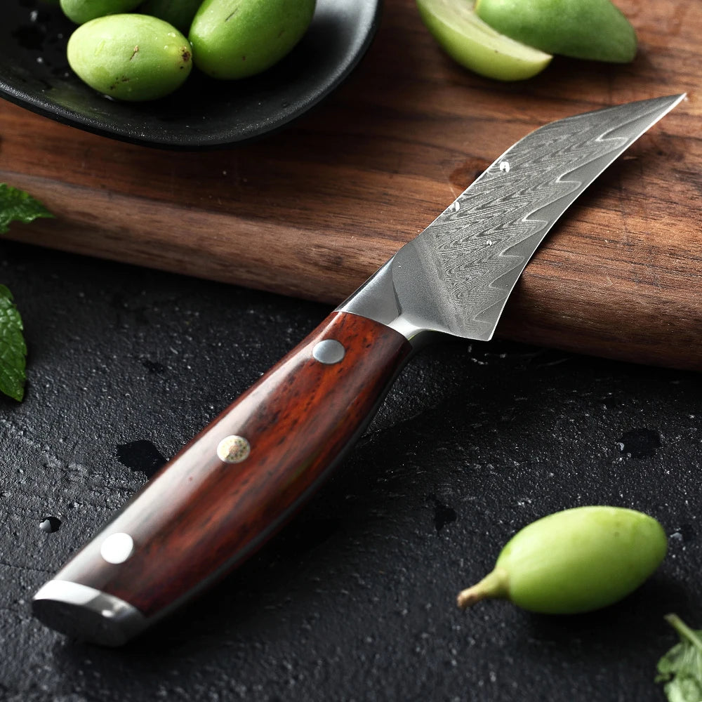 3" Paring Knife Japanese Style Damascus Steel VG-10 Ergonomic Mosaic Rivet Rosewood Handle Fruit Peeling Kitchen Knife