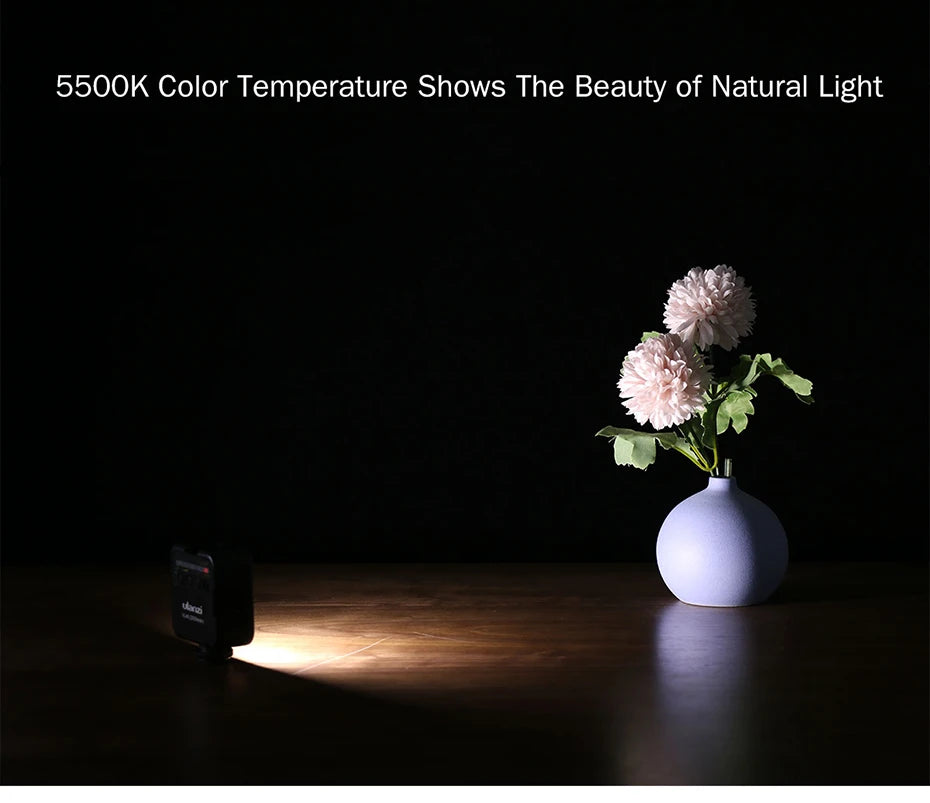 Mini Vlog LED Fill Light 6W 5500K Rechargeable 2000mAh Dimmable Phone Video Lighting