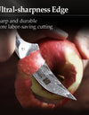 3" Paring Knife Japanese Style Damascus Steel VG-10 Ergonomic Mosaic Rivet Rosewood Handle Fruit Peeling Kitchen Knife