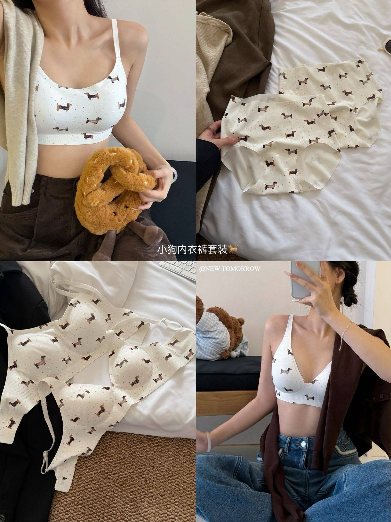 Womens Dachshund Print Wireless Bra and Brief Set