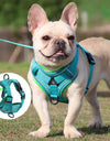 No Pull Dog Harness and Leash Set Adjustable Pet Harness Vest For Small Dogs Cats Reflective Mesh Dog Chest Strap French Bulldog
