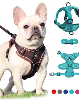 No Pull Dog Harness and Leash Set Adjustable Pet Harness Vest For Small Dogs Cats Reflective Mesh Dog Chest Strap French Bulldog