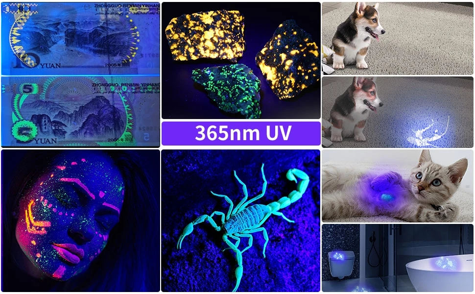 20W 365nm UV Rechargeable Blacklight Flashlight With LCD Display