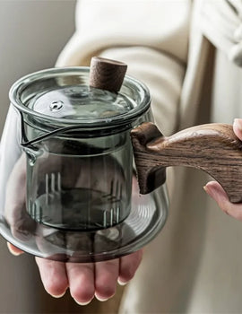 Japanese 350ml Side Handle Glass Teapot With Tea Infuser Filter Brewing Flower Tea Pot Puer Oolong Tea Maker Kungfu Tea Set