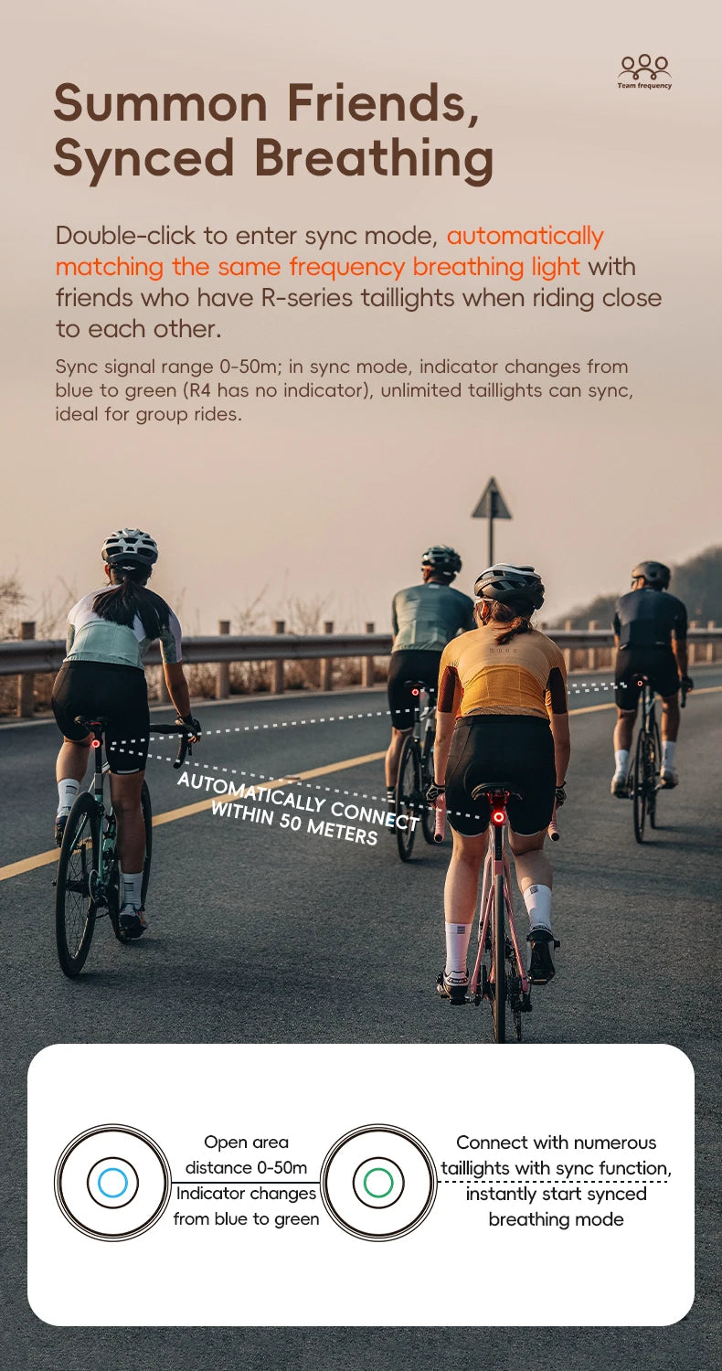Smart Brake Sensing Bike Taillight IPX6 Waterproof Type-C Synchronized Bicycle Rear Light MTB Road Cycling Tail Light