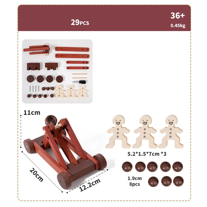 Wooden DIY Vehicle Assembly Toy Set