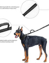 Dog Collar Durable Tactical Leash Set Adjustable Military Pet Collar Leash Medium Large Dog German Shepherd Training Accessories