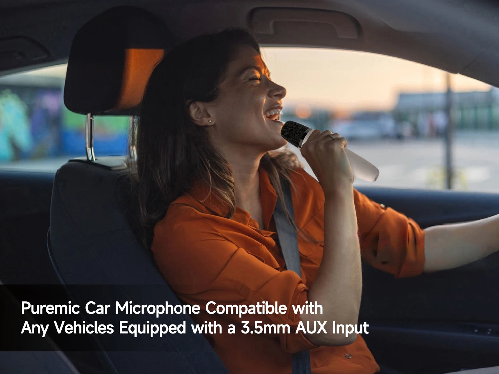 Tesla Microphone with Case, Rechargeable Bluetooth Microphone Wireless with 3.5mm Aux Jack Receiver, Car Karaoke Mic with Bag