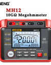Digital Megohmmeter Meters Insulation Earth Resistance Meter Tester Cable High Voltage Voltmeter Resistor Meter Tool