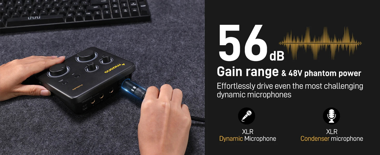 USB Audio Interface for PC,XLR Input 24-bit/192kHz Routing Software LOOPBACK ASIO for Recording Music,Guitar,DAW PS22 Lite