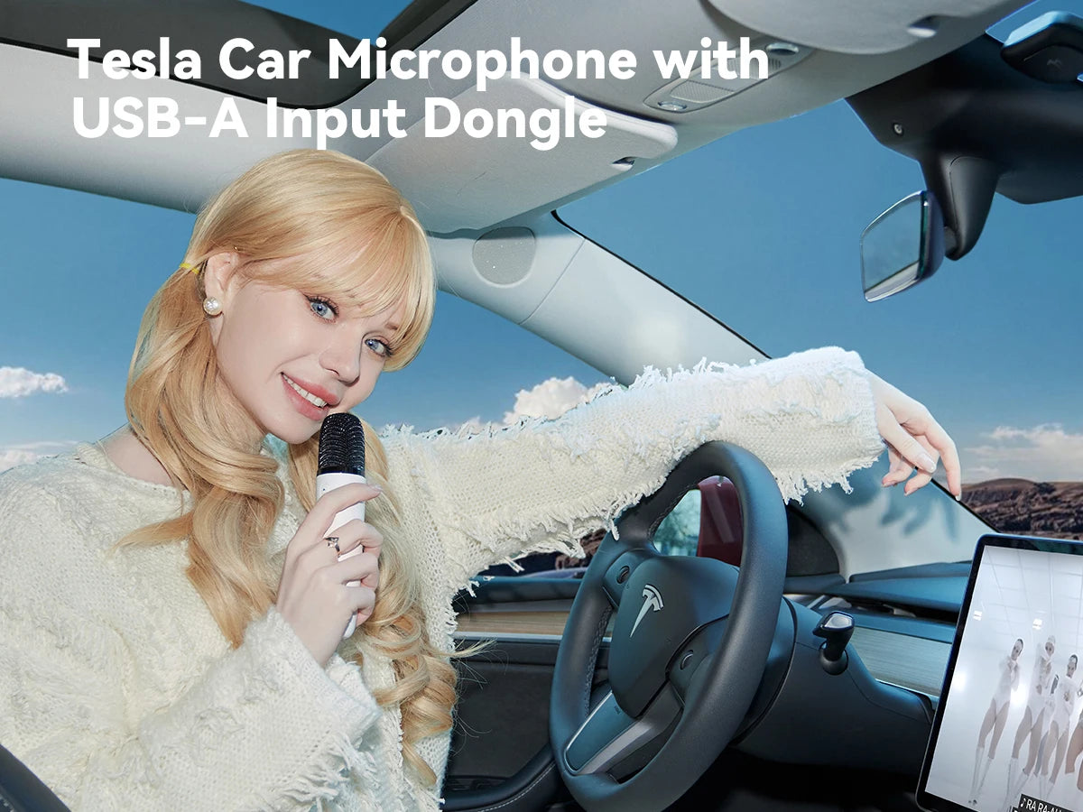 Tesla Caraoke Mic with Portable Storage Bag, Wireless Mic with 8 Joy Effects, Rechargeable Mic with Type-C & Aux in Receiver