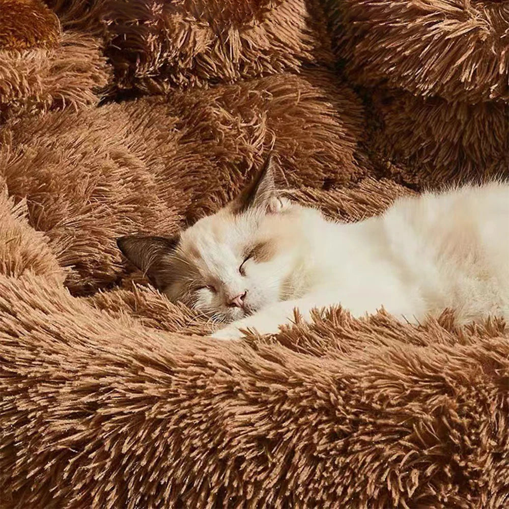 Winter Plush Pet Sofa Bed for Dogs and Cats