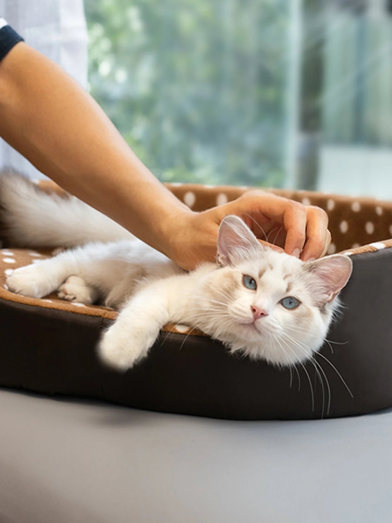 Coral Fleece Cat Bed Cushion Mat