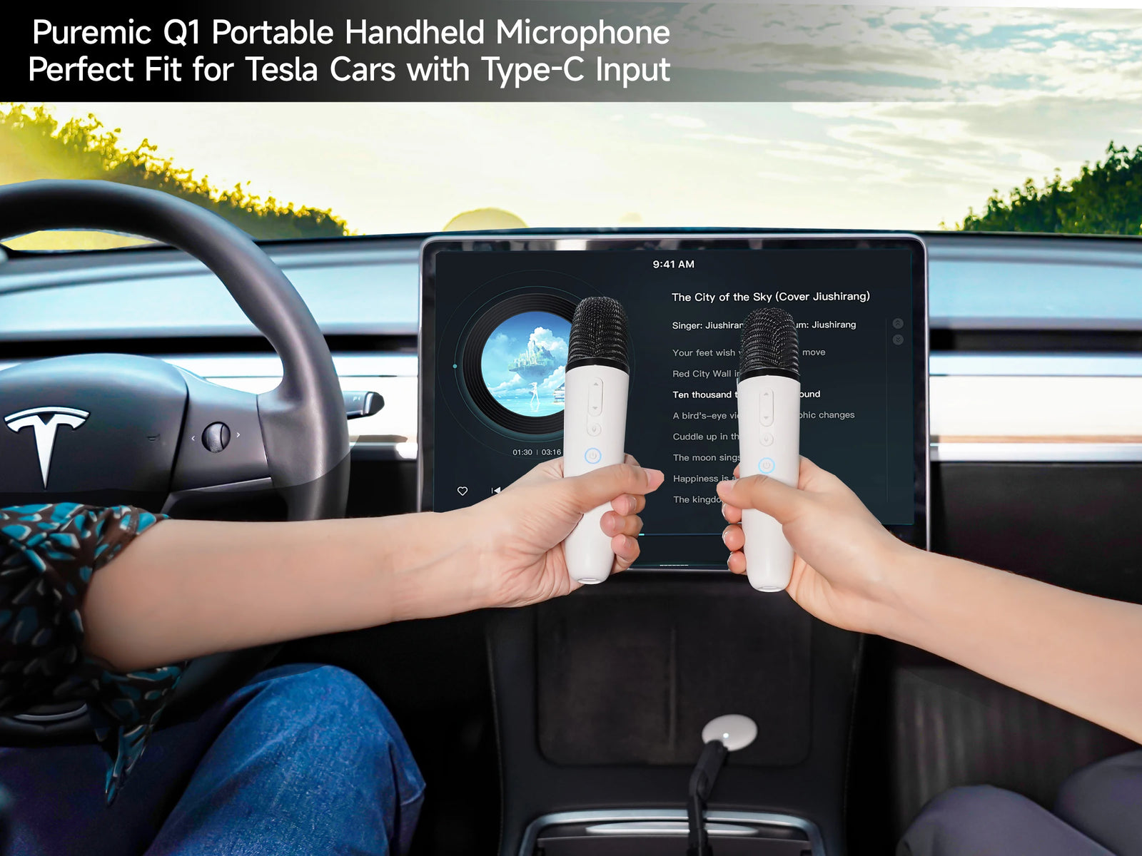 Q1-Tesla Car Karaoke Microphone for Tesla Model Y/3/X/Cybertruck, Rechargeable Caraoke Mic with USB-A & USB-C Receiver