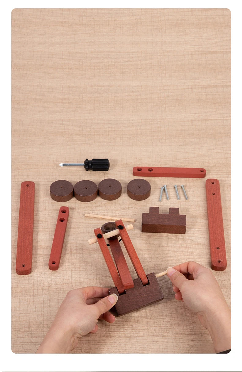 Wooden DIY Vehicle Assembly Toy Set