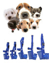 Pet Dog Adjustable Bark Bite Mesh Mouth Muzzle Grooming Anti Stop Chewing for Small Dogs Nylon Belt Dog Accessories Pet Products