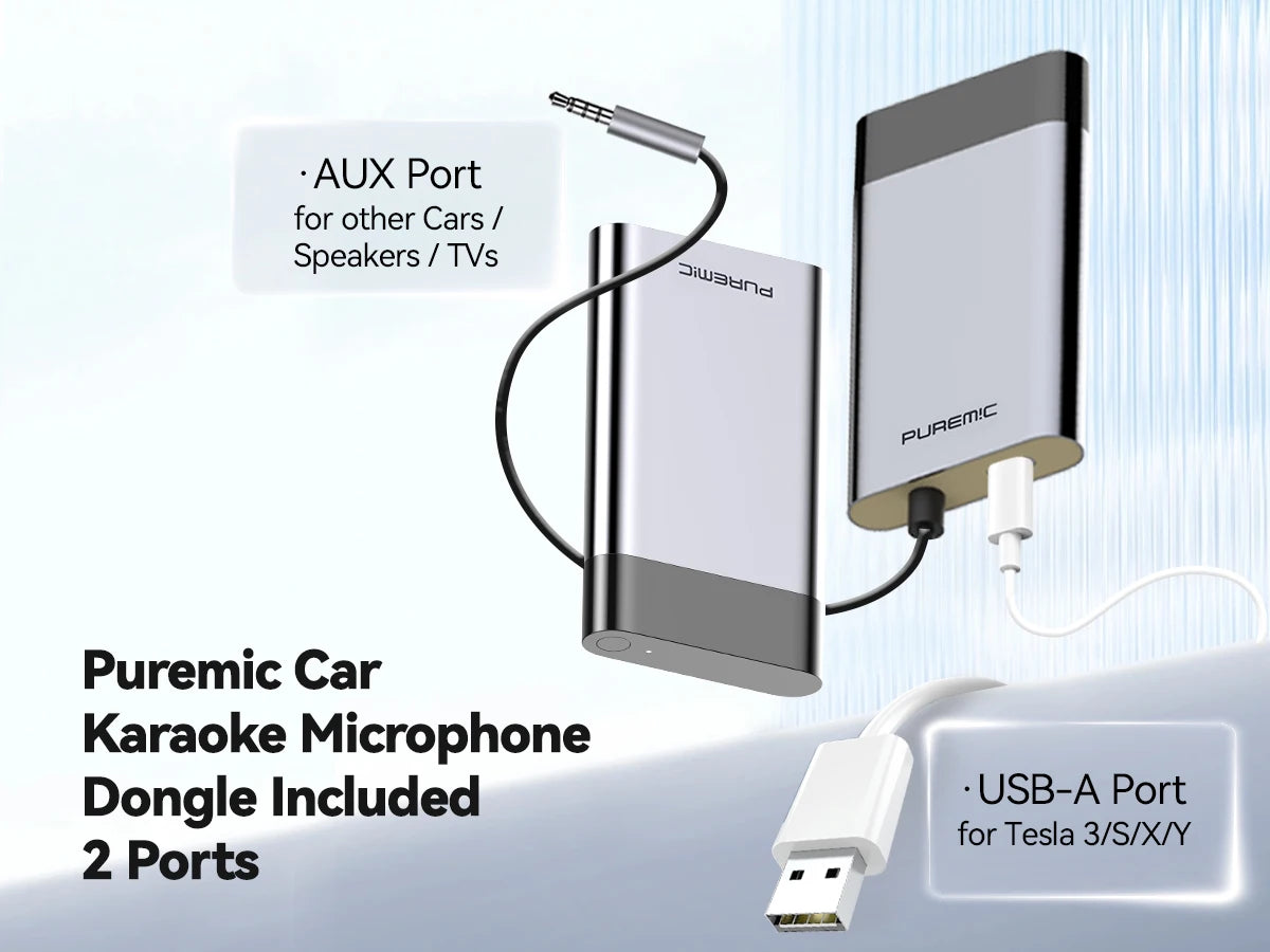 Tesla Karaoke Mic with Portable Storage Bag, Wireless Mic with 8 Joy Effects, Rechargeable Mic with Type-C & Aux in Receiver