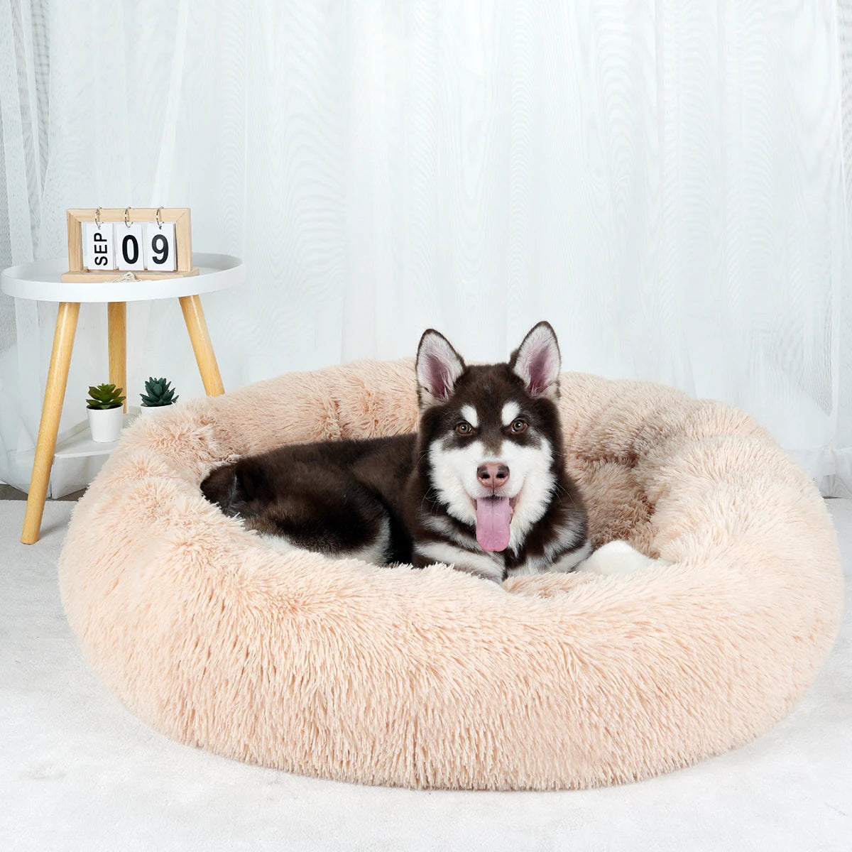 Washable Plush Dog Bed Fluffy Pet Sofa Cushion