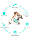 Dog Molar Toothbrush Stick Toys For Small Large Dogs Cat Tooth Cleaning Puppy Chew Funny Interactive Training Toy Accessories