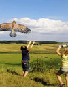 1.1m Eagle Kite with 30 Meter Kite Line Large Eagle Flying Bird Kites Children Gift Family Trips Garden Outdoor Sports DIY Toy