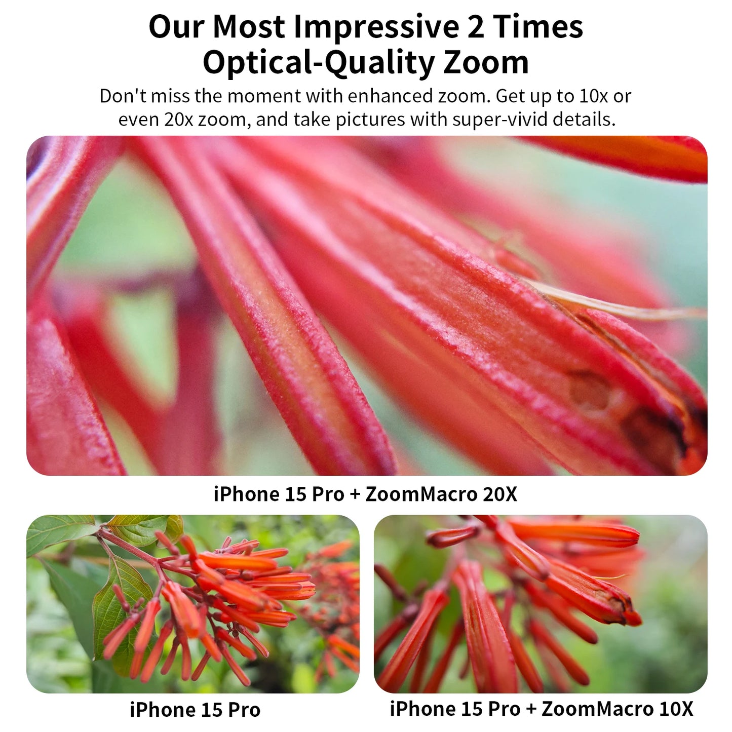 100mm Macro Smartphone Lens with Universal Clip