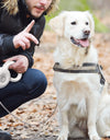 Dog Leashes Retractable Pet Leash Reflective Rope Automatic Extending Dog Harness Lead for Pet Walking Dogs Accessories