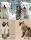 Puppy Cat Harness with Leash Breathable Waffle Pet Vest Clothes for Small Mid Dogs Cats Harness Collar Yorkshire Dog Accessories