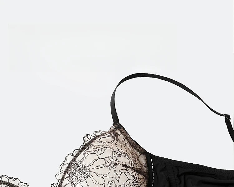 Womens French Lace Underwire Push Up Bra and Brief Set