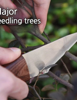 Sprout grafting knife for garden fruit trees, specialized tool for grafting fruit trees, For Grafting Branches,Super Sharp