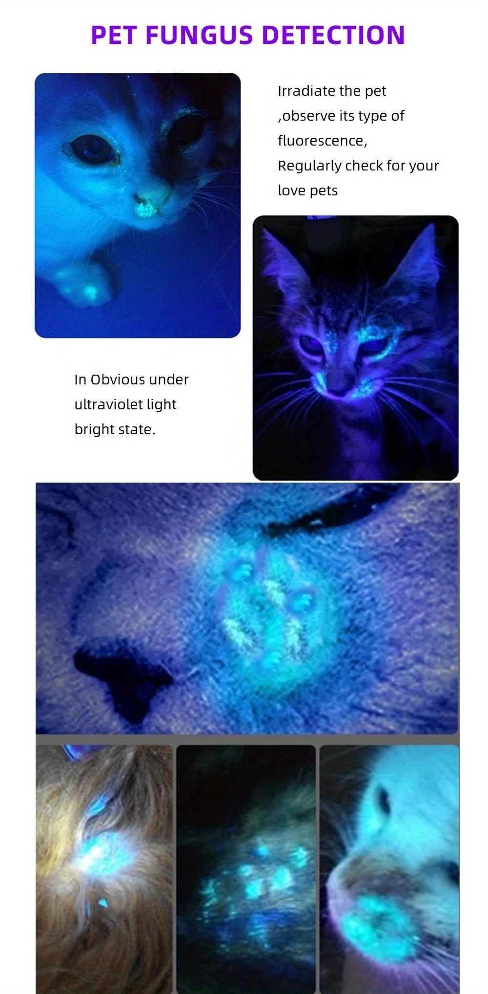 60W 365nm 395nm UV LED Blacklight Flashlight