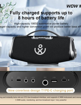 BMTL WOW MAX 300W Powerful Portable Speaker with 2 Wireless Microphones 3-way PA System Support Power Bank AUX/USB/TF/OTG