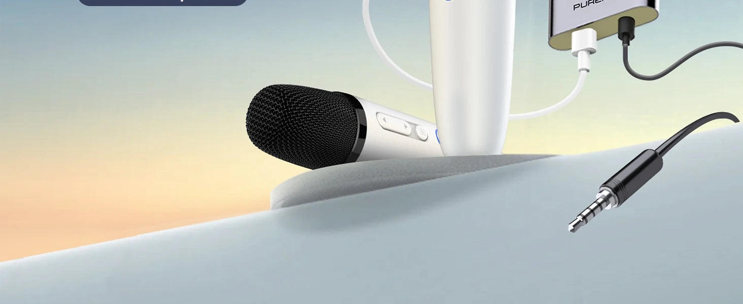 Tesla Karaoke Mic with Portable Bag, Wireless Mic with 8 Joy Effects, Rechargeable Mic with Type-C & Aux in Receiver