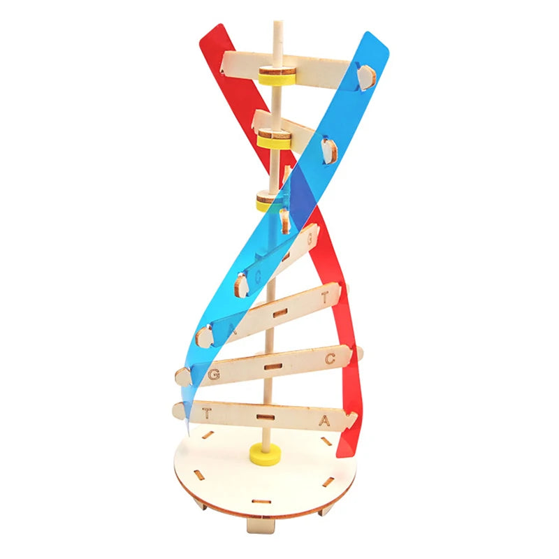 3D Wooden Puzzle DIY Physical Model Science Experiment Educational Toy Password Box Grain Fan Assembly Model DIY Decoration Gift
