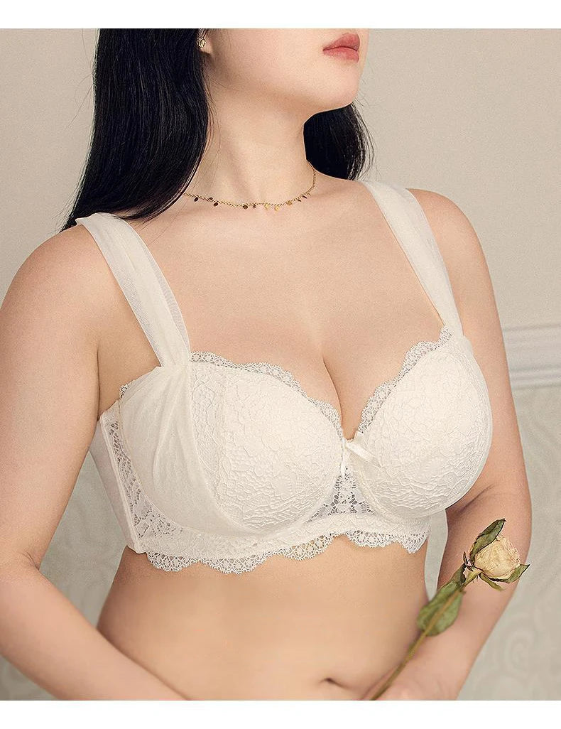 Womens French Lace Underwire Push Up Minimizer Bra
