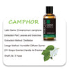 Camphor Oil