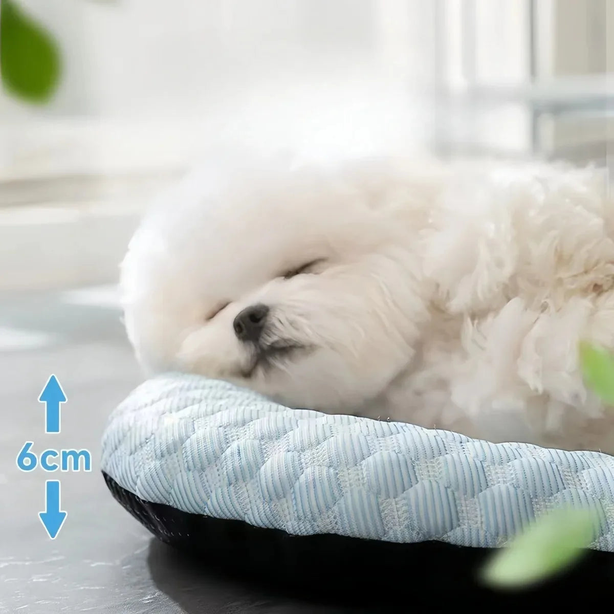 Cooling Dog Bed Sofa Summer Pet Cushion