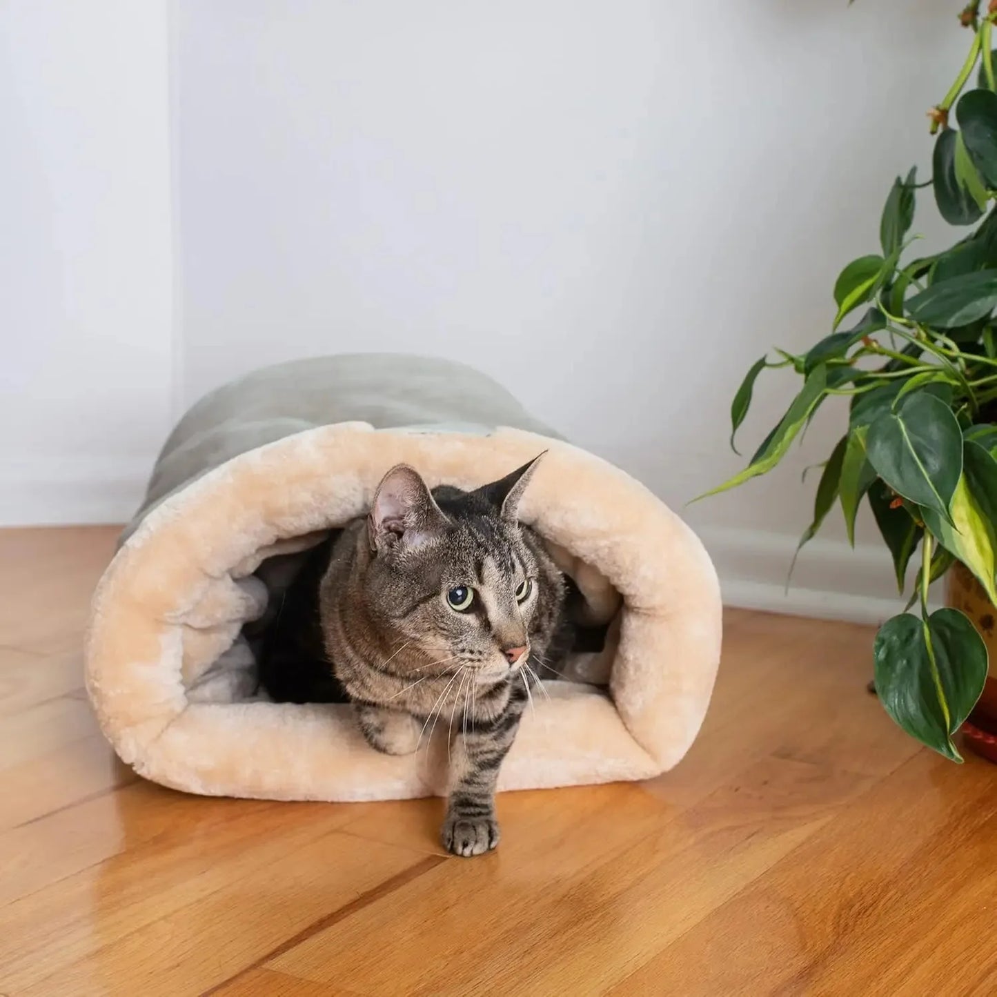 Corduroy Pet Bed House for Cats and Small Dogs
