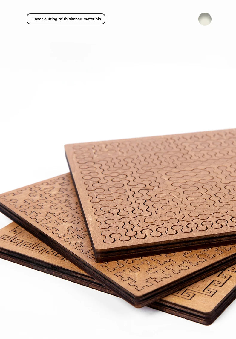 Wooden Brain Teaser Puzzle Game