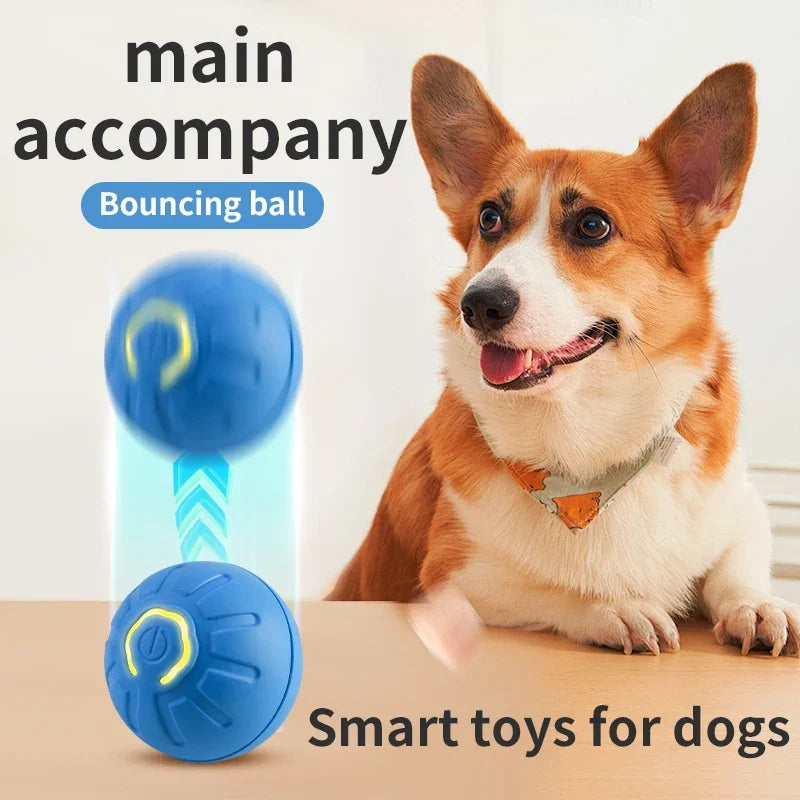 Smart Dog Toy Ball Electronic Interactive Pet Toy Moving Ball USB Automatic Moving Bouncing for Puppy