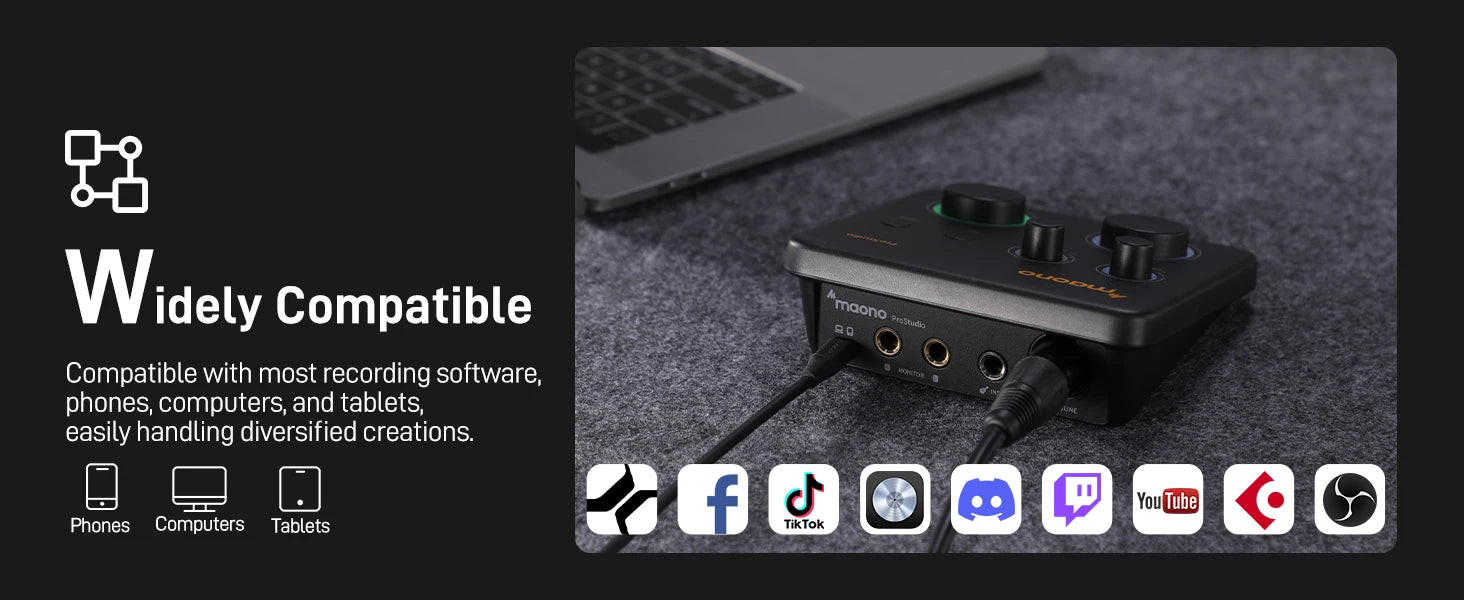 USB Audio Interface for PC,XLR Input 24-bit/192kHz Routing Software LOOPBACK ASIO for Recording Music,Guitar,DAW PS22 Lite