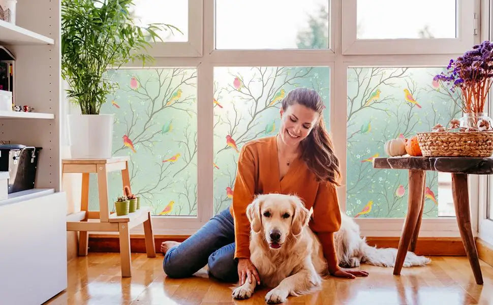 Privacy Window Film Opaque Static Cling Non Adhesive Film Bird Decals Decorative Glass Cover Tint Frosted Stickers for Home