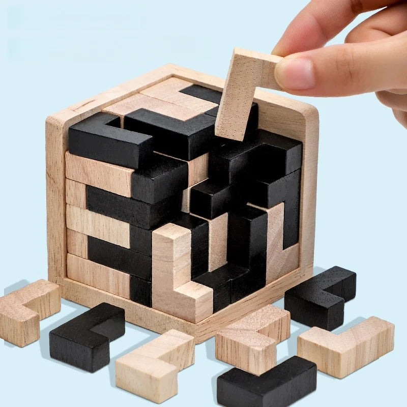 Wooden Brain Teaser Puzzle Game